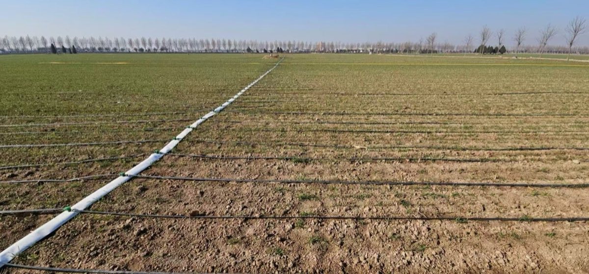 Pre-perforated woven layflat hose installed in a field