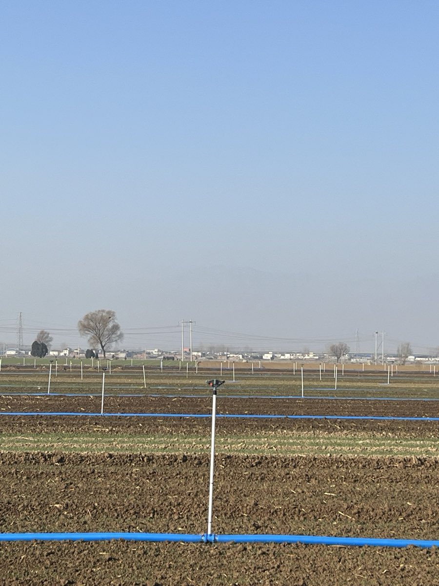 Henan Wheat Irrigation Project field view